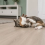 Іграшка для котів Тост XXL з шелестом, з котячою м'ятою, фото 3