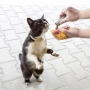 Refillables Catnip Tube Змінні блоки котячої м'яти, фото 2