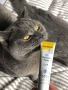 Expert Line UT Balance Вітамінна паста для котів, фото 4