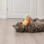 Іграшка для котів, Пташка, фото 4