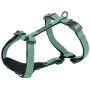 CityStyle H-harness Шлея для собак, бавовна, світло-зелена