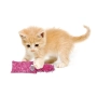 Kickeroo Kitten Іграшка для кошенят із візерунком, фото 4