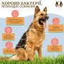 SuperFlora Probiotic Вітамінний комплекс з пробіотиком, фото 8