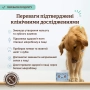 Dental Powder Порошок від зубного каменю, фото 4
