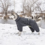 Комбінезон «Cold» для собак, сірий, фото 4