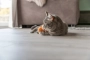 Іграшка для котів, Дракон, котяча м’ята, фото 6
