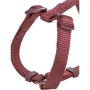 Premium H-harness Шлея для собак, бордова, фото 2