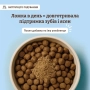 Dental Powder Порошок від зубного каменю, фото 5