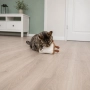 Іграшка для котів Тост XXL з шелестом, з котячою м'ятою, фото 4