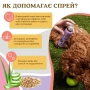 Calming Lavender Spritz Спрей-кондиціонер для розчісування та догляду за шерстю, фото 2