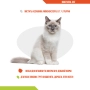 Multivital Cat - вітамінно-мінеральна добавка для котів, фото 2