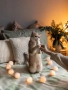 Expert Line Relax Вітамінна паста для котів, фото 4