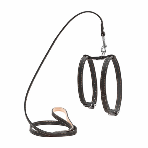 Шлея з повідцем для собак, чорна