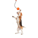 Іграшки - Liker Cord М'ячик на канаті для собак
