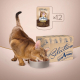 Вологий корм - Plus Selection - вологий корм зі шматочками оселедця та салаки в желе для дорослих котів