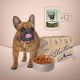 Консервований корм - Selection «Паштет з куркою і ягням» вологий корм для дорослих собак