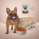 Вологий корм - Selection - паштет з куркою та ягням для дорослих собак