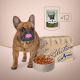 Вологий корм - Selection - паштет з куркою та індичкою для дорослих собак