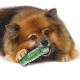 Іграшки - Crunchy Bone Хрустка кісточка для собак