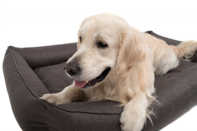 Для собак - Sofa Gray Лежак для собаки