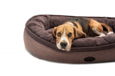 Для собак - Donut Soft Touch Brown Овальный лежак для собак