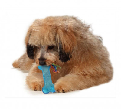 Іграшки - Міні Орка-кісточка з канатиками для собак