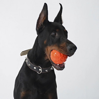 Игрушки - Liker Мячик для собак