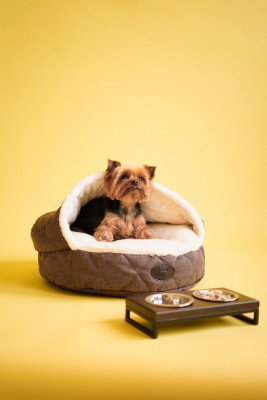 Каталог - Cover Brown Лежак з капюшоном для собак и кошек