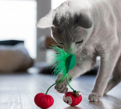 Іграшки - Dental Cherries "Вишні" Іграшка для котів