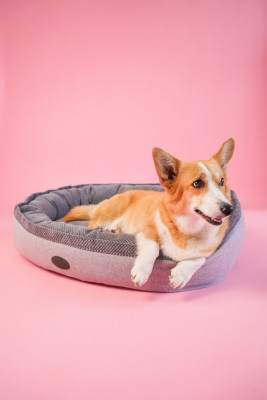Для собак - Donut Soft Touch Gray Овальный лежак для собак