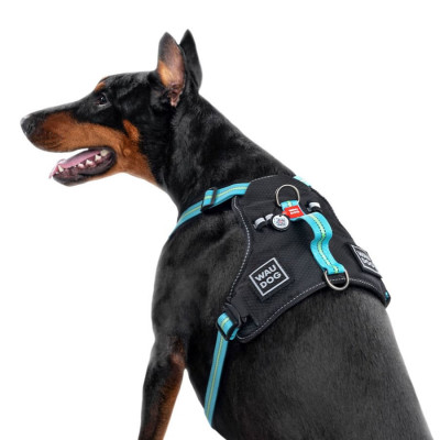 Амуниция - WAUDOG Nylon Шлея для собак безопасная с QR паспортом, металлическая пряжка-фастекс, голубая