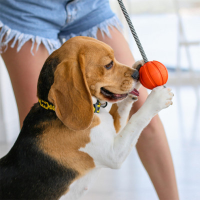 Игрушки - Liker Cord Мячик на канате для собак